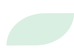 HİNDİSTAN CEVİZİ